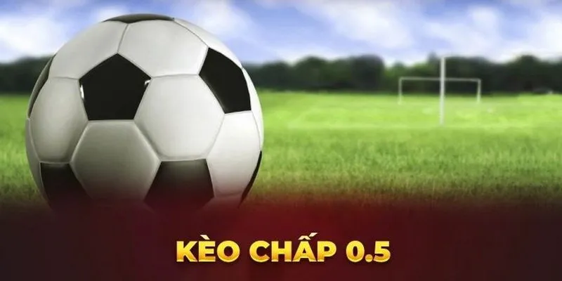 Kèo cược chấp tỷ lệ 1/2 quen thuộc trong cá độ bóng đá