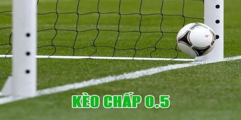 Cập nhật biến động kèo kịp thời để cá cược hiệu quả